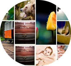 Capture d'écran d'une galerie photo utilisant grid layout